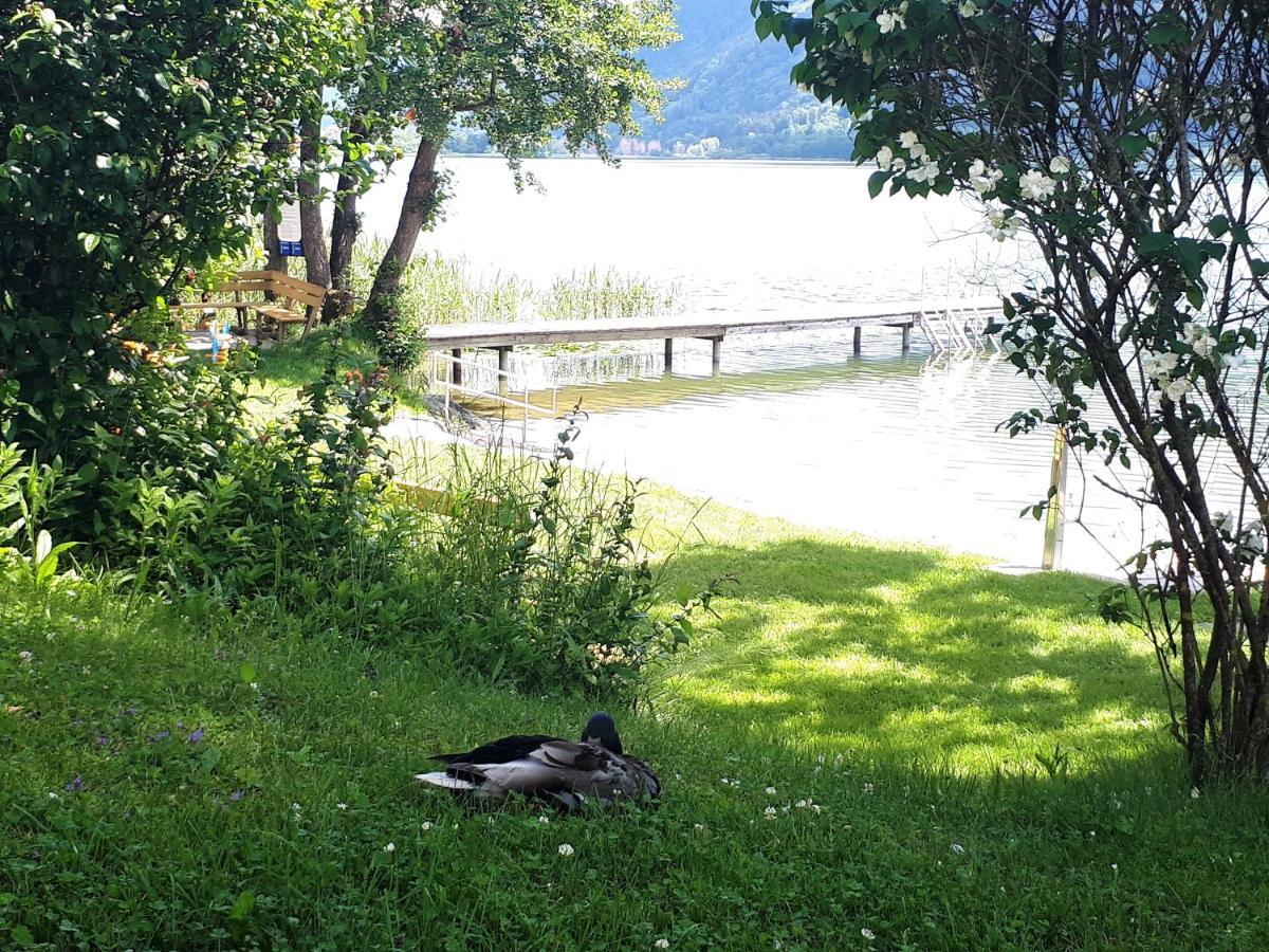 Anna Seeblick Appartement, Haus Haensel&Gretel Am Ossiachersee Mit Direktem Seezugang, Hallenbad Bodensdorf Buitenkant foto